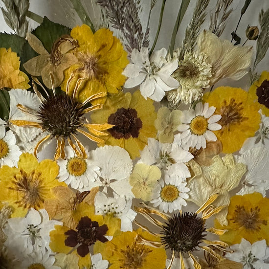 Slunečné odpoledne