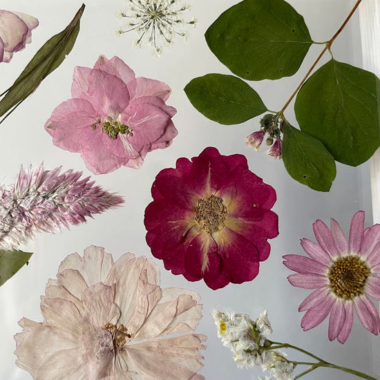 Třešňová jedinečnost