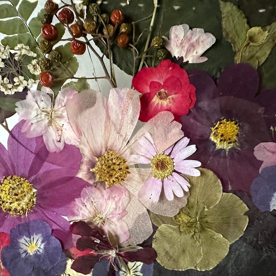 Zahalený tajemstvím