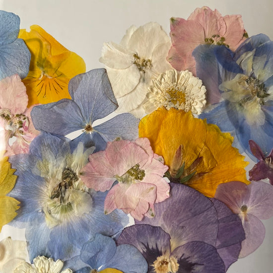 Jako pastelkami malované