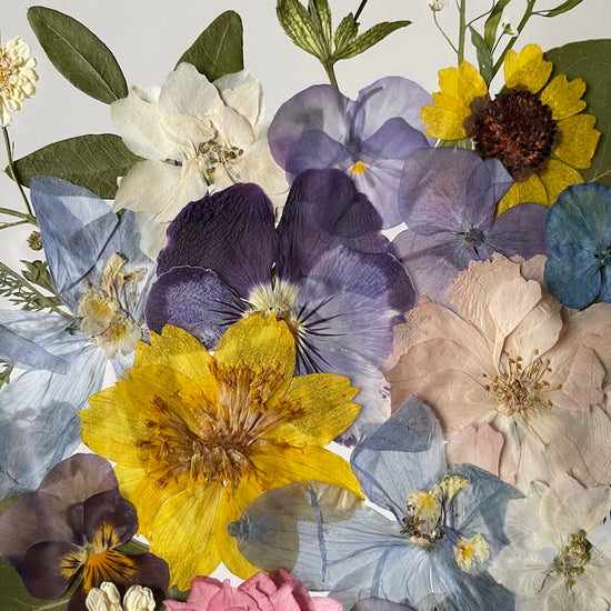 Na rozhraní květin