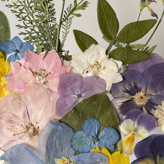 Všechny barvy něhy