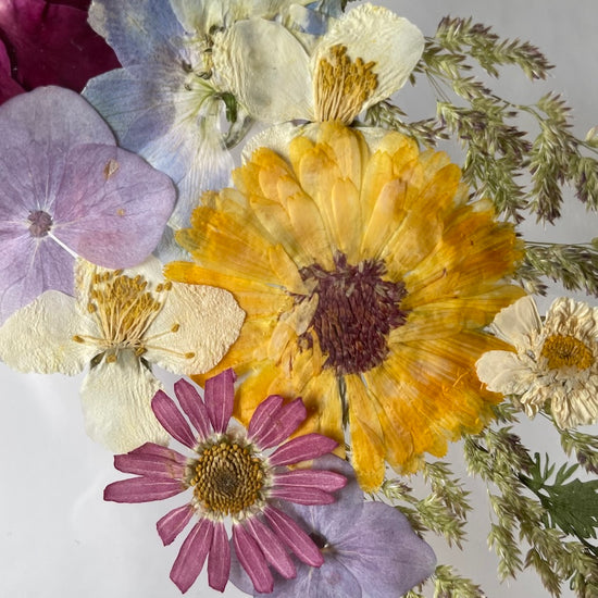 Květinový koníček