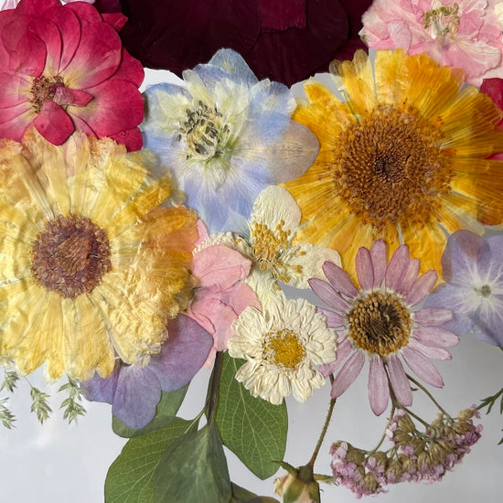 Mimořádnost květů