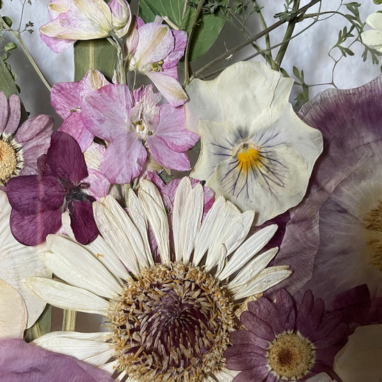 Za závojem zapomenuté zahrady