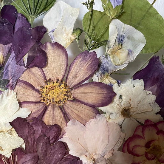 Nevyslovené mystično květů