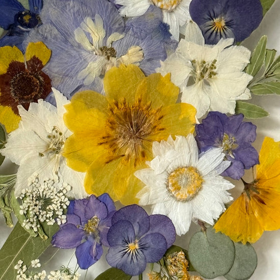 U potůčku třpytivo