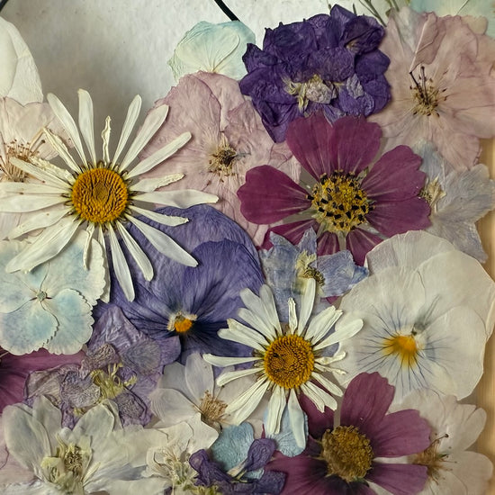 Nejvěrnější přítel