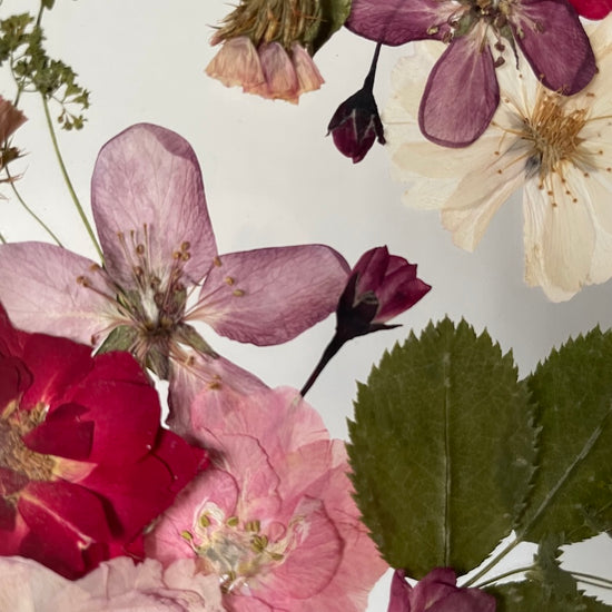 Cestička srdcovou zahrádkou