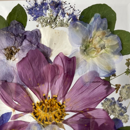 Puget plný podivností