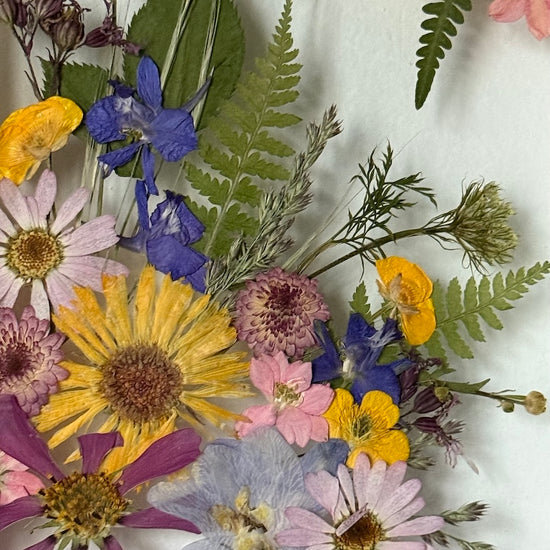 Radosti běžných dnů