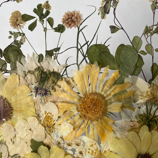 Záře paprsků léta