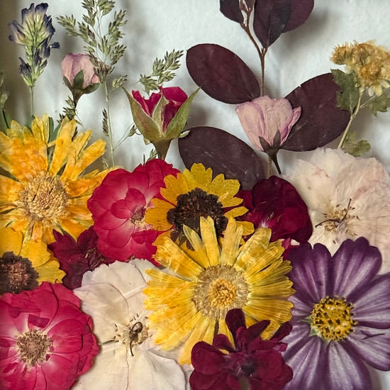 Chaloupkové babí léto