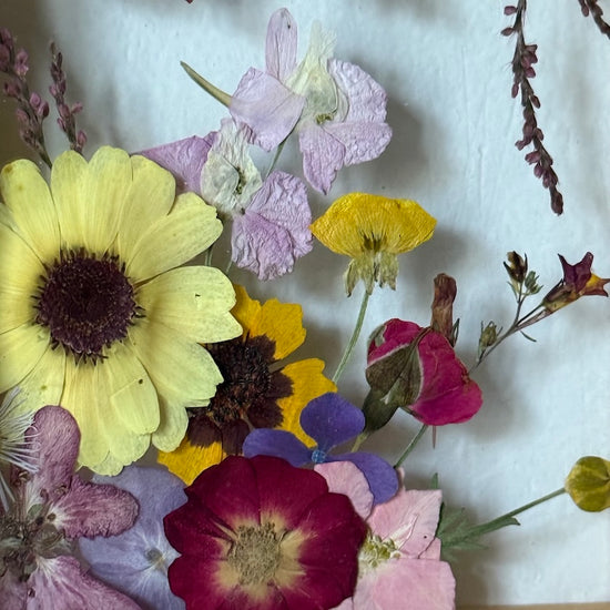 Divoká čarokvítka