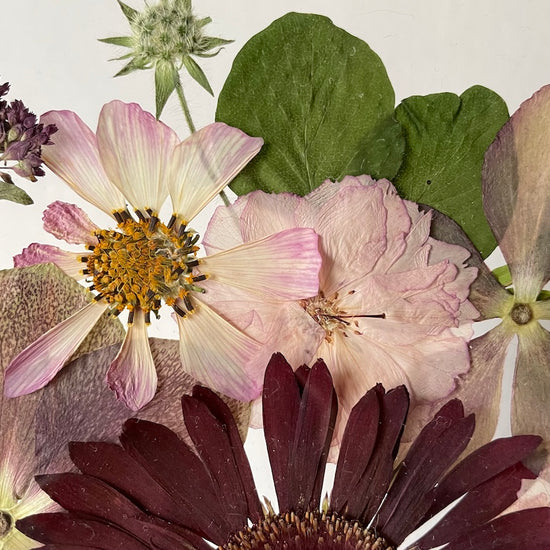 Zahrada zapomenutých bohů