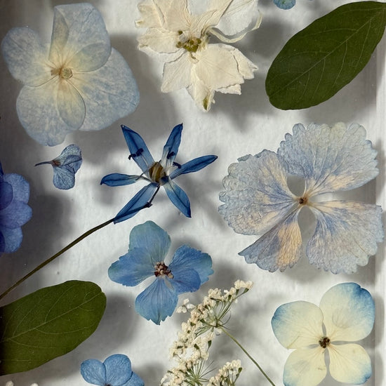 Větře, větříčku