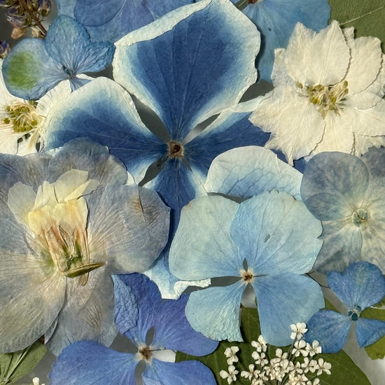 Maličký zimní obrázek