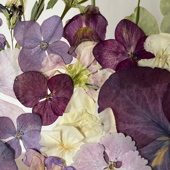 Na paloučku v borůvčí