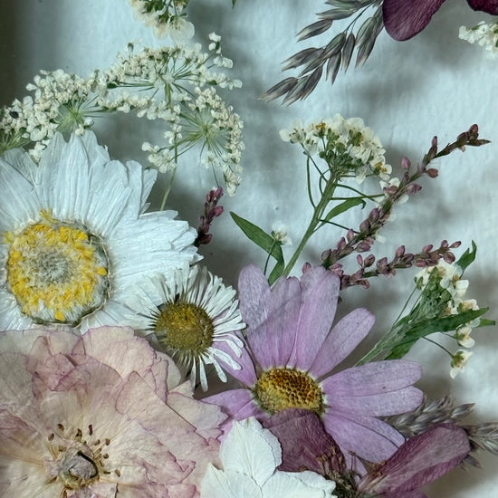 Omrzlá květinová podívaná