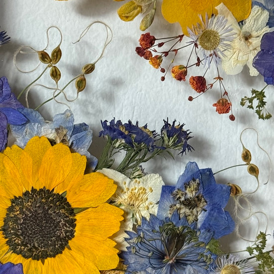 Jedno slunce svítí pro radost