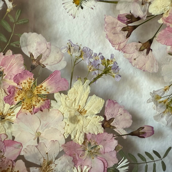 Cestička za princeznou