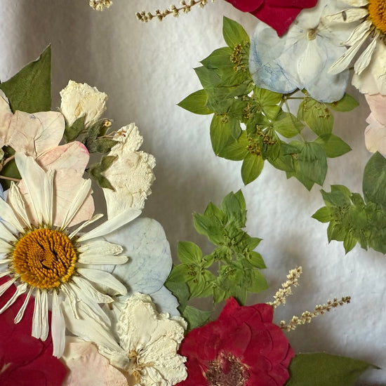 Vášnivé kopretinky