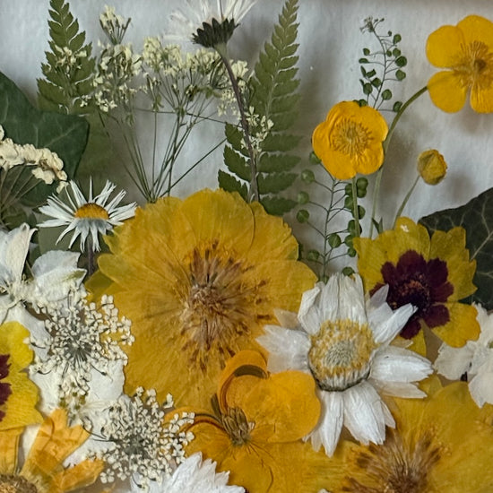 Probuzení do slunného dne