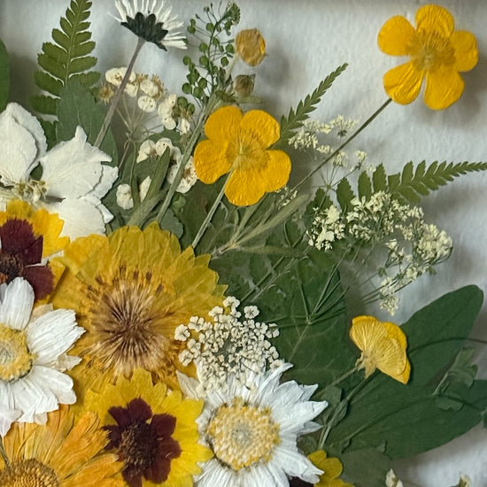 Divoká sluneční krajina