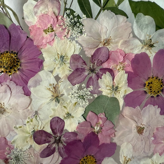 Řeka růžových snů