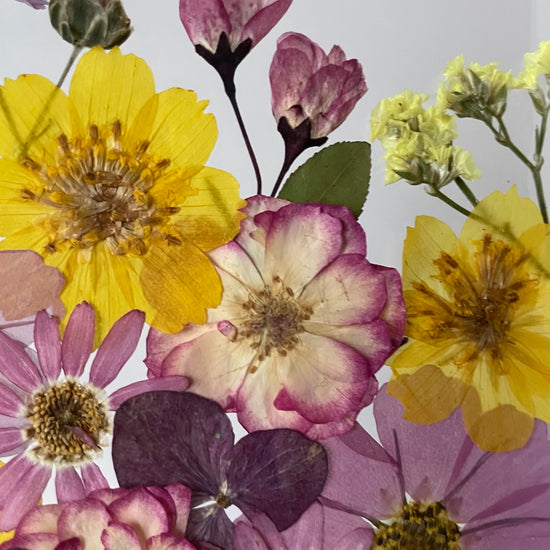 O podstatě světla v květu