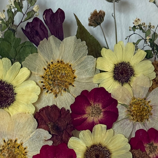 V barvách spadaného listí