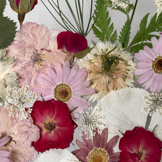 Bílé sny s červenými korunkami