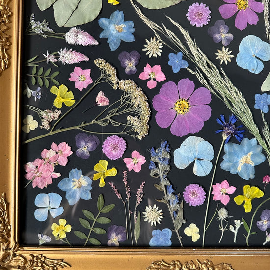 Kde se louka tetelí