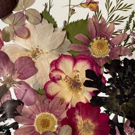 Rubínová rozkvetlost