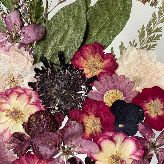 Zahrada v barvách vína