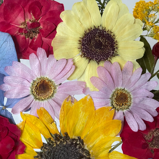 Když tě duha pohladí