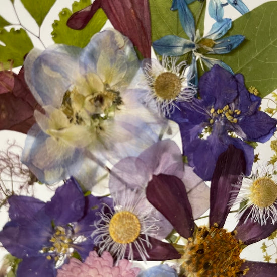 Co uvidíš v kapce deště