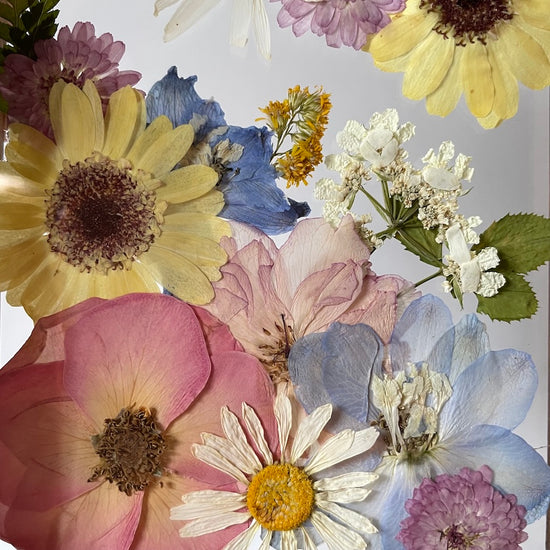 Jemný květinový sen