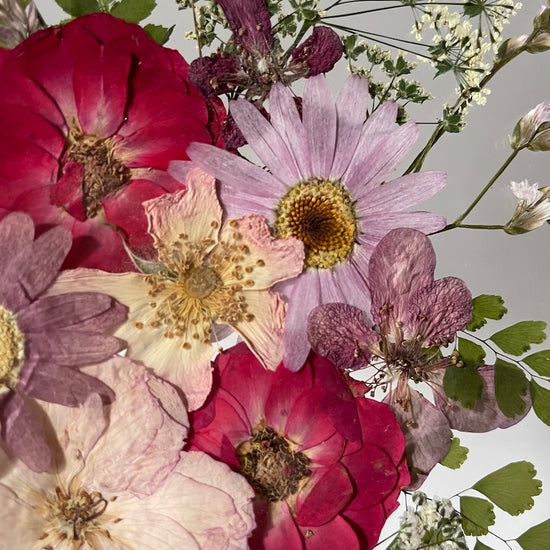 Červená se klokočí