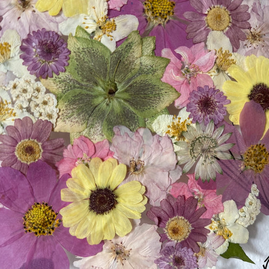 Je tolik tajemství ve světě, které čekají, až je objevíme