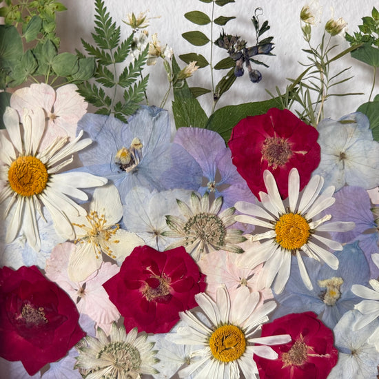 Květy v horské říčce