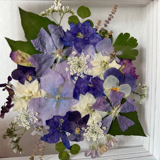 Pohlazené jinovatkou