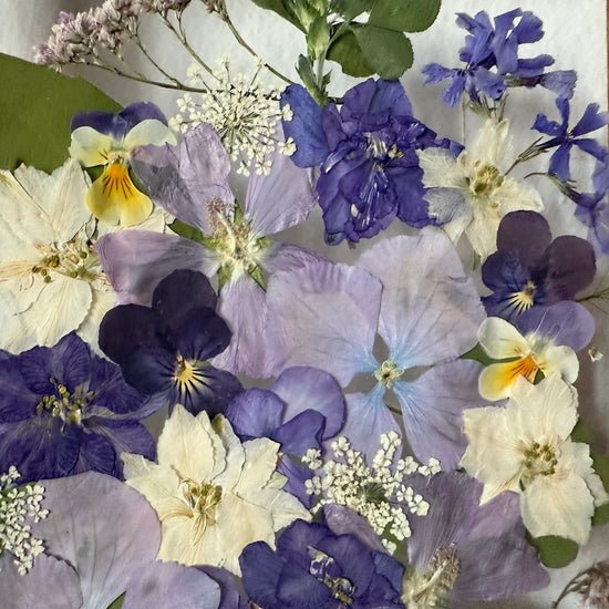 Všechny tóny fialové