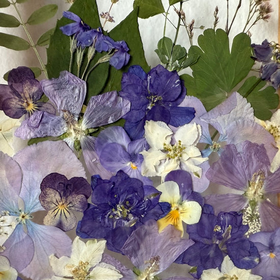 Říčka za naší chaloupkou