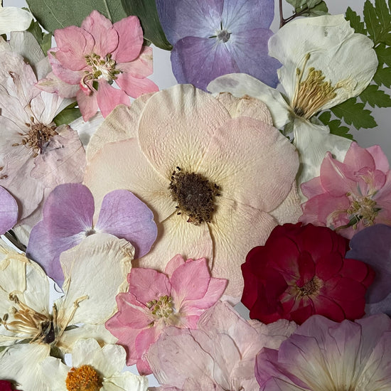 Jako koruna krále lesních elfů