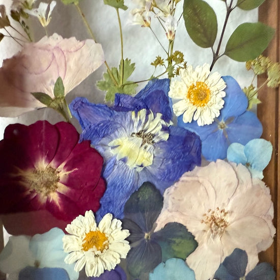 Rozkvetlo pod hladinou