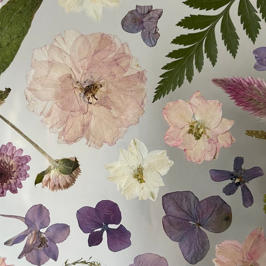 Jemnost ve dvou barvách