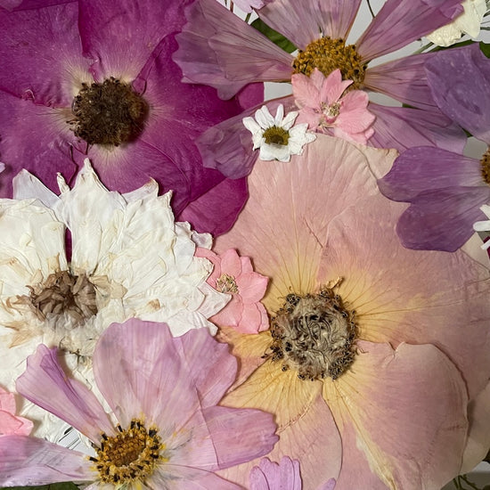 Jako krajina probuzená po dlouhé zimě