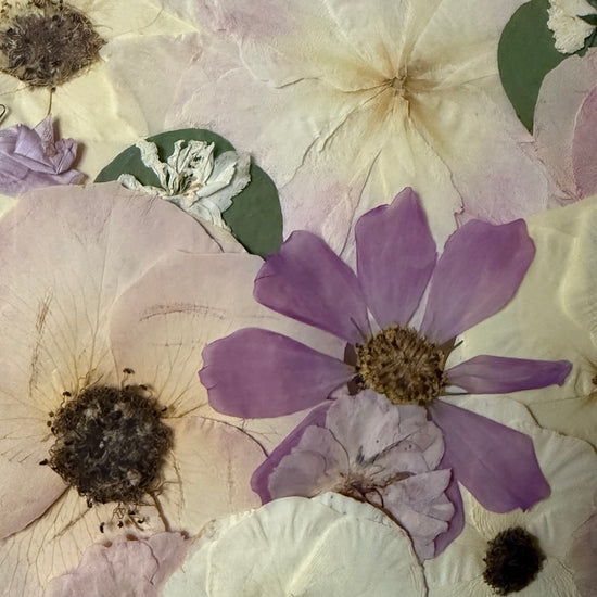 Z království za sedmero horami