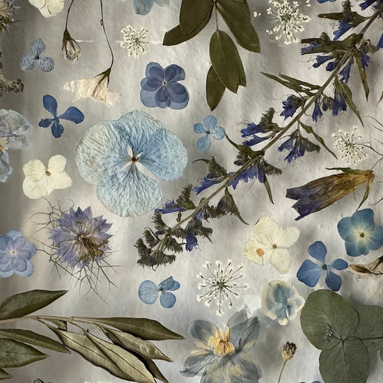 Pro milovníky modré 🩵